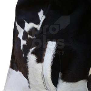 Premium Real Cowhide Leather Winter <b>Jacket</b> for <b>Men</b> Vintage Casual Design with Zipper Front <b>Long</b> Sleeve Eco-Friendly Breathable - Product Image 6