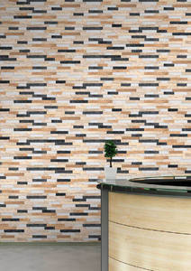 กระเบื้องพอร์ซเลนสำหรับผนังภายนอก ขนาด 300x600 มม. สำหรับบุผนังด้านหน้า - Product Image 4