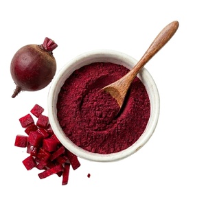 Bestselling OEM 100% Pure Beetroot Powder Herbal Food Grade Beetroot Powder Bulk Supplier for Juice and Smoothie from India - Product Image 6