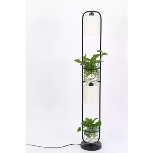 Transparent Glass Planter Floor Lamp Hanging Bulb Glass Vase with Metal Stand for Money Plants Planter floor lamp