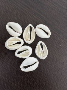 Conchas de mar cauri de corte natural hechas a medida, ideales para diseñadores de joyas y tiendas de cuentas - Product Image 2