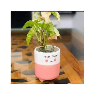 Hermosa maceta de cerámica con estilo minimalista y textura artesanal perfecta para plantas de interior en casas modernas o Rústicas - Product Image 1