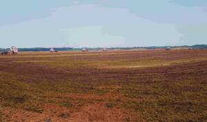 Suelo de musgo de turba báltica Sphagnum natural crudo profesional para flores y fresas - Product Image 2