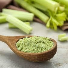 POUDRE DE CÉLERI VERT/NON-GMO/PROPRMENT TRAITÉ/HAUTE QUALITÉ - Product Image 2