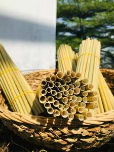 Pailles à boire en herbe écologiques, pailles en herbe sauvage faites à la main, taille personnalisée et boîte de marque privée - Product Image 4