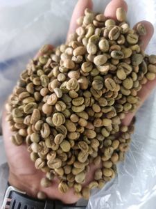 กาแฟอาราบิก้าสีเขียวคั่วเมล็ดกาแฟล้างผ่านกรรมวิธีเกรดโดยตรงจากเคนยาบรรจุ50กก. อายุการเก็บรักษา3-5ปี - Product Image 2