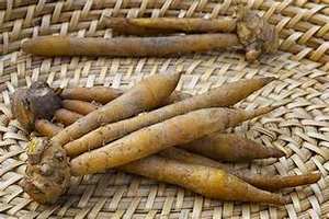 TERMINALIA CATAPPA INSPIRADO CONGELADO KRACHAI CON FUNCIÓN DE APOYO INMUNE E INGREDIENTE BOTÁNICO DE ETIQUETA LIMPIA - Product Image 2