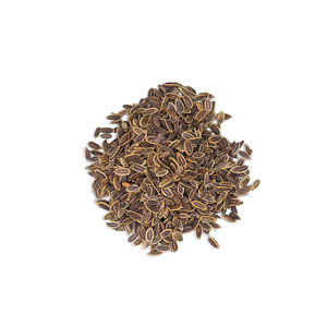 เมล็ดผักชีลาวขายส่งพร้อมสำหรับการส่งออกไปยังตลาดต่างประเทศ - Product Image 1