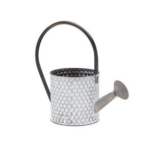 Arrosoir en acier inoxydable en métal antique Revêtement extérieur en poudre noire Finition laquée Conception Boîtes de stockage d'eau - Product Image 4
