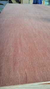 Contreplaqué commercial FOMEX GREENWOOD, placage de Bintangor, qualité supérieure, 1220x2440mm, 12-18mm, E2, formaldéhyde, intérieur - Product Image 3