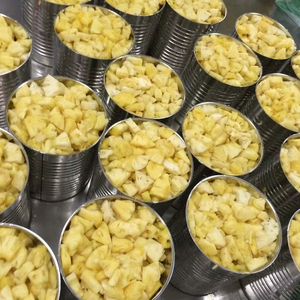Grande quantité de morceaux/tranches d'ananas en conserve, usine du Vietnam, prêts à l'exportation - Product Image 1