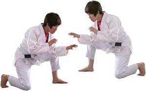 Conjuntos de Uniformes de Karate Personalizados - Trajes de Artes Marciales Unisex Ligeros y Duraderos de Poliéster/Algodón, Kimono de Secado Rápido de Alta Calidad - Product Image 5