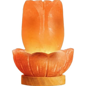 Lampe de sel de l'Himalaya faite à la main écologique artisanat naturel sculpté Styles nautiques de haute qualité pour la décoration de bureau à domicile directe - Product Image 1