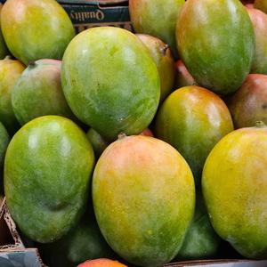 Mangues rouges fraîches biologiques de haute qualité - Grade d'exportation de classe I - Variété sucrée sans fibres - Mangues en gros à teneur élevée en Brix 14-16% - Product Image 2