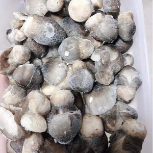 Fournisseurs de champignons surgelés de qualité supérieure du Vietnam à un prix abordable exportation en gros - Product Image 2