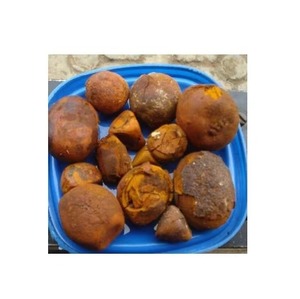 Wholesale Bulk buy Cow Gall Stones / <strong>Ox</strong> Gallstones for Sale - Product Image 4