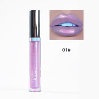 Vente en gros 2026 – Nouveaux gloss à lèvres holographiques sirène rose et bleu, couleurs tendance, marque privée, fournisseur de gloss
