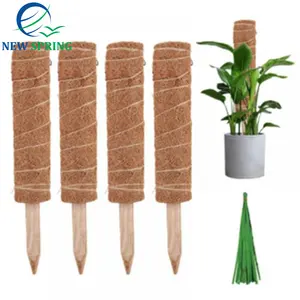 批发椰壳杆植物支架室内和花园植物桩为您的植物提供最优惠的价格