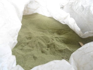 Poudre d'algues vertes en gros/prêt à exporter du Vietnam poudre d'algues vertes de haute qualité algues vertes - Product Image 4