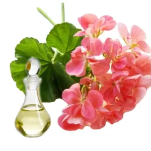 批发批量价格huile essentielle de天竺葵100% 纯天然有机玫瑰天竺葵精油