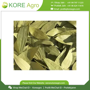 Chất lượng cao 100% tự nhiên hữu cơ <span class=keywords><strong>Senna</strong></span> lá trà thảo mộc cho bị mất trọng lượng ở mức giá tốt - Product Image 4