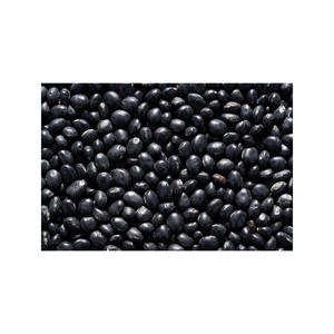 Frijoles negros de estilo seco verde y saludable de alta calidad, frijol rojo británico orgánico certificado de riñón, proteína rica Dar - Product Image 4