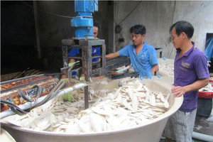 High Quality <b>Cuttlefish</b> Bone 10-15-20 cm up cm for Wholesalers Dried High Calcium 35% Cleaned Truncated 20kg/Bulk Bag Cheap Fac - Product Image 5