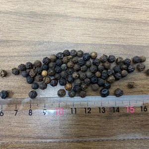 Việt gia vị tiêu 5mm 500/550/570gl faq/sạch liên hệ với ms. Quincy WS + 84 858080598 - Product Image 4