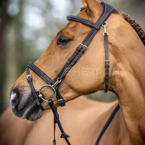 Bride en cristal de cheval équestre en cuir avec personnalisation doucement rembourrée de forme anatomique disponible pour la vente en ligne - Product Image 5