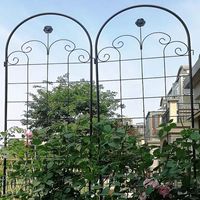 Enrejado de Jardín Decorativo de Hierro Ecológico Vintage con Acabado en Polvo Personalizable para Rosas Trepadoras y Vegetales - Duradero