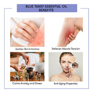Huile Essentielle Pure de Tanaisie Bleue 100% Qualité Cosmétique pour Hydratation Corporelle, Éclaircissement, Raffermissement et Nutrition de la Peau - Product Image 4