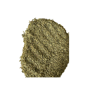 Graines de fenouil crues séchées égyptiennes de qualité supérieure pour le marché d'exportation européen - Product Image 1