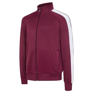 Nouvelle arrivée Jogging Street Wear survêtement pour hommes deux pièces grande taille ensemble 100% Polyester toutes saisons tendance survêtement 2025 - Product Image 6