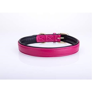 Collar de perro de cuero hecho a mano de la mejor calidad con diseño acolchado suave Fabricante Proveedor y mayorista indio superior Saman Exports - Product Image 2