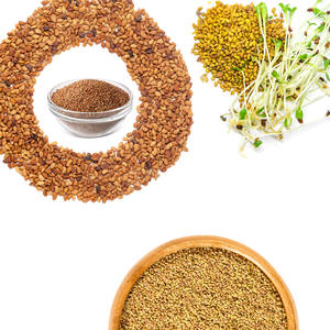 Luzerne | Fourrage dense en nutriments pour l'efficacité laitière - Product Image 4