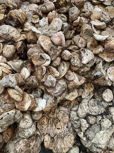 Goma Natural en Trozos, Grado General, Color Blanco - Product Image 3