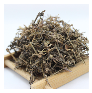 Palitos de hojas de gelatina de hierba seca orgánica ingrediente herbario tradicional para postre de gelatina negra casera y suministro de bebidas refrescantes - Product Image 1