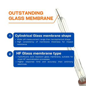 جسم زجاجي HF <span class=keywords><strong>pH</strong></span> عالي الجودة بهيكل زجاجي بحمض الهيدروفلوريك مضمنة <span class=keywords><strong>pH</strong></span> مسبار PG13.5 خيط لمياه الصرف الصناعي لأشباه الموصلات - Product Image 2