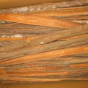 แท่งซินนามอนจากประเทศจีนต้นพืชเก็บเกี่ยวใหม่ - Product Image 1