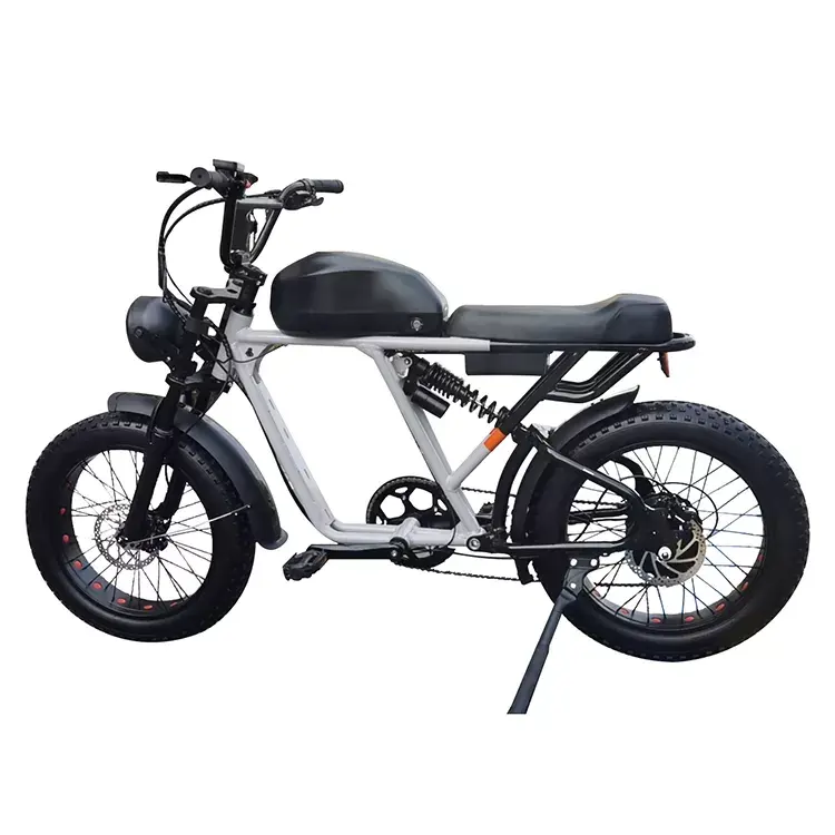 OEM ODM 20 Zoll Fat Tire Elektro fahrrad 48v 750w E Fahrrad Elektro fahrrad Mountain City E Fahrrad Fahrrad 1000W