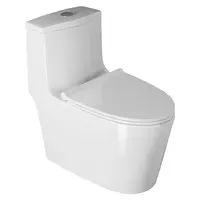 Yeni varış beyaz bangladeşli Modern banyo sıhhi tesisat sıhhi tesisat iki parçalı tuvalet fabrika üretimi çeşitli Modern