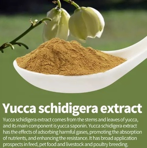 Pabrik grosir Yucca ekstrak bubuk 10%-98% Saponins/Yucca Shidigero ekstrak Yucconin - Product Image 4