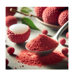 Herbojit International, Polvo de Litchi 100% Puro y Natural de Súper Calidad, Secado por Aspersión, Precio al por Mayor, Ingredientes y Aditivos Alimentarios - Product Image 1