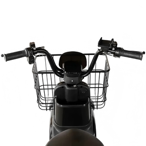 Vélo <span class=keywords><strong>cargo</strong></span> électrique deux <span class=keywords><strong>places</strong></span>, moteur arrière sans balais 1000W 48V, batterie au plomb-acide, assistance au pédalage, double frein à disque, 3 vitesses, acier au carbone - Product Image 6