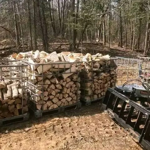 Compre Leña Secada al Horno de Roble, Abedul, Haya, Leña Seca de Abedul en Venta - Product Image 1