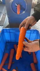 Machine à éplucher les légumes motorisée multifonctionnelle commerciale 220V outil de coupe d'épluchage de peau efficace longue durée de service - Product Image 4