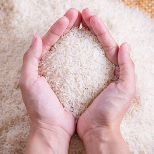 Arroz Jazmín Premium, Suave, Esponjoso, Aromático, de Grano Largo, Blanco, Ideal para Restaurantes, Proveedor de Exportación a Granel - Product Image 3