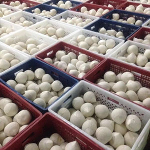 Noix de coco fraîche vietnamienne produite à partir de coquilles de noix de coco naturelles, adaptée aux besoins des entreprises de boissons - Product Image 1