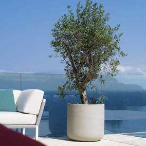 Macetas decorativas grandes y macetas para plantas de interior y exterior, macetas modernas para jardín, ideales para el hogar, patio, balcón, césped - Product Image 5