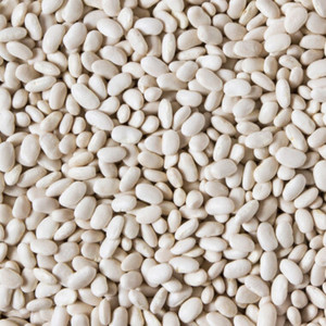 Vente en gros de haricots Lima de qualité supérieure, en vrac, vente directe usine, haricots beurre séchés, grands et blancs, pour l'exportation - Product Image 1